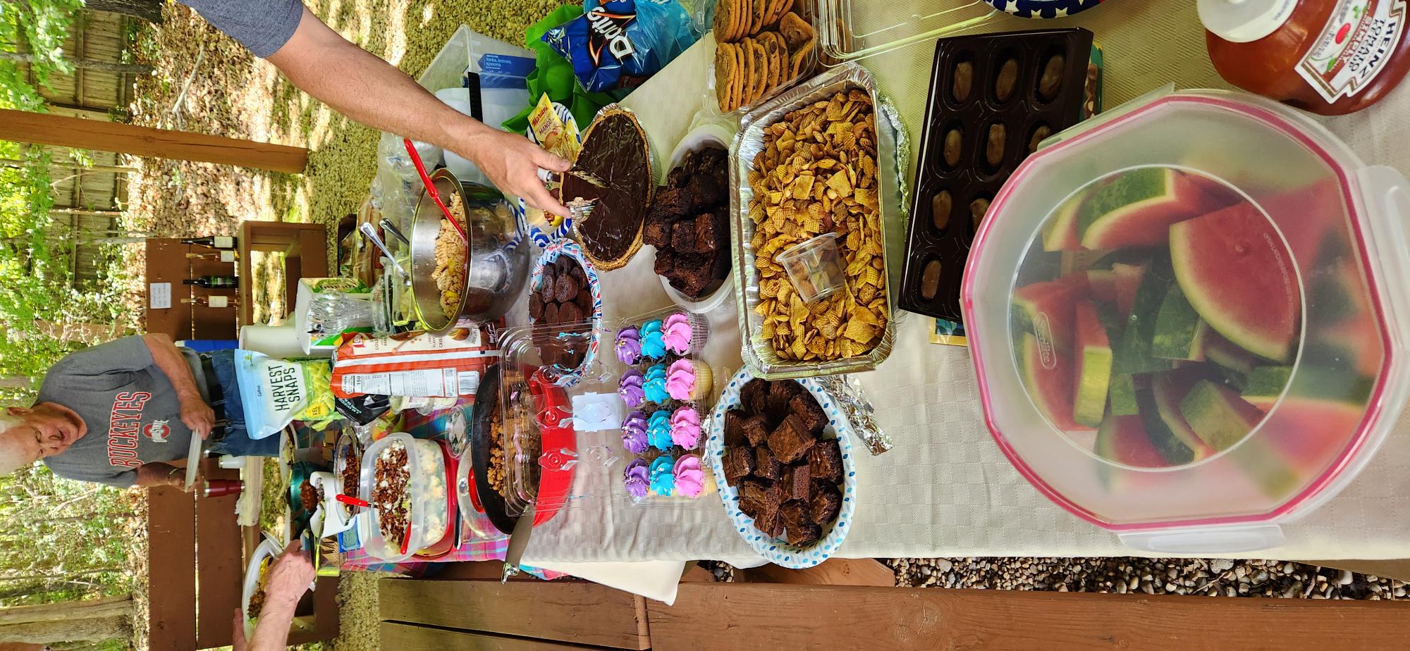 Potluck spread at the Anna Coves annual meeting picnic on Lot 10